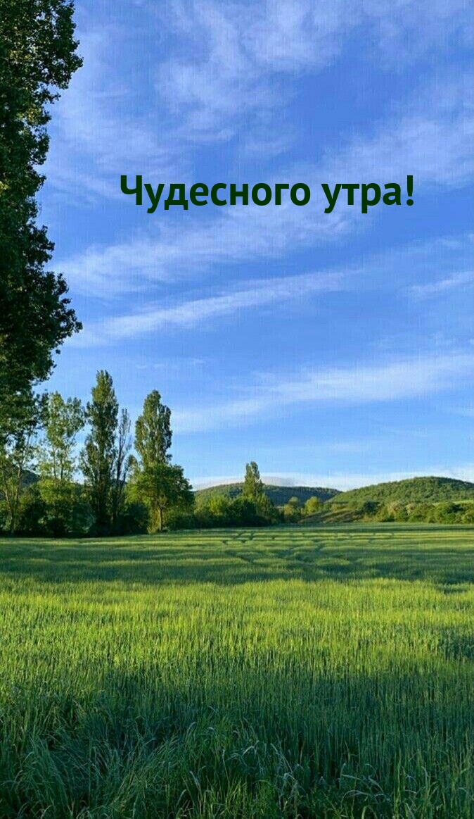Картинка: Чудесного утра!