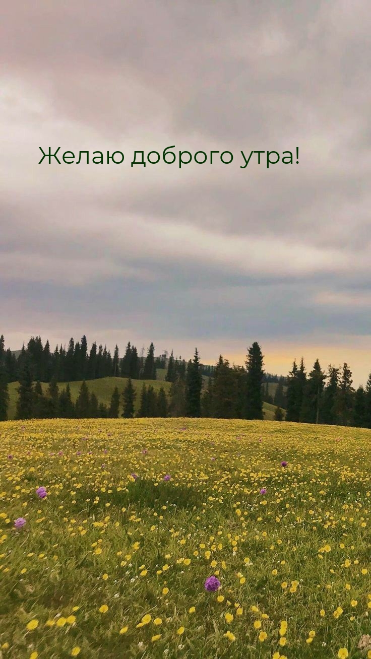 Картинка: Желаю доброго утра!