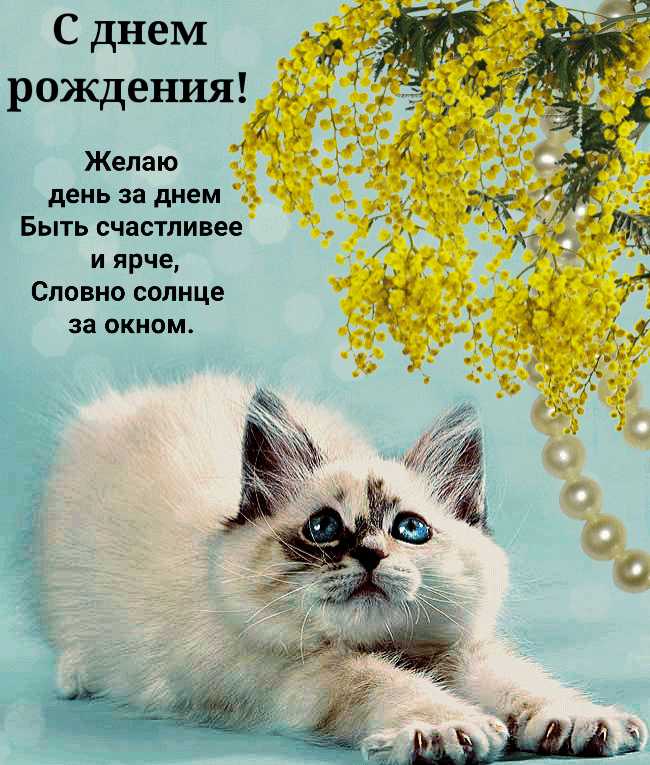 Картинка: С днем рождения! Желаю день за днем быть ярче