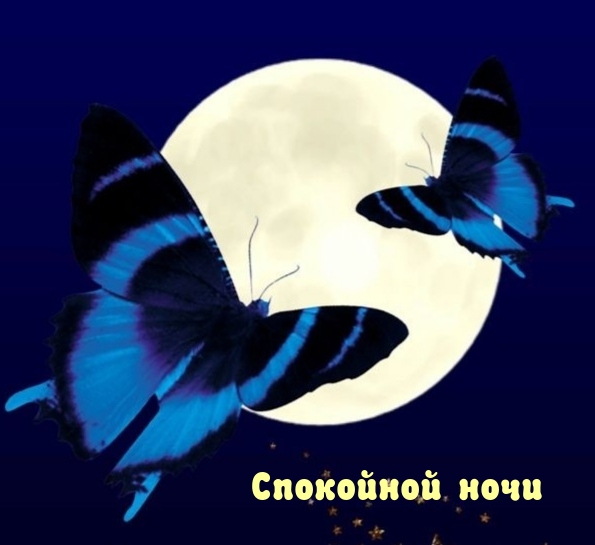 Картинка: Спокойной ночи