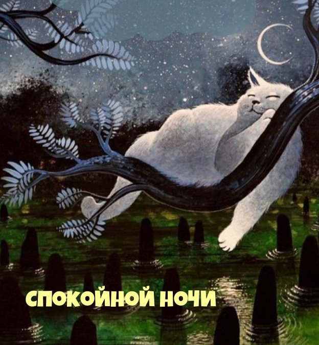 Картинка: Спокойной ночи