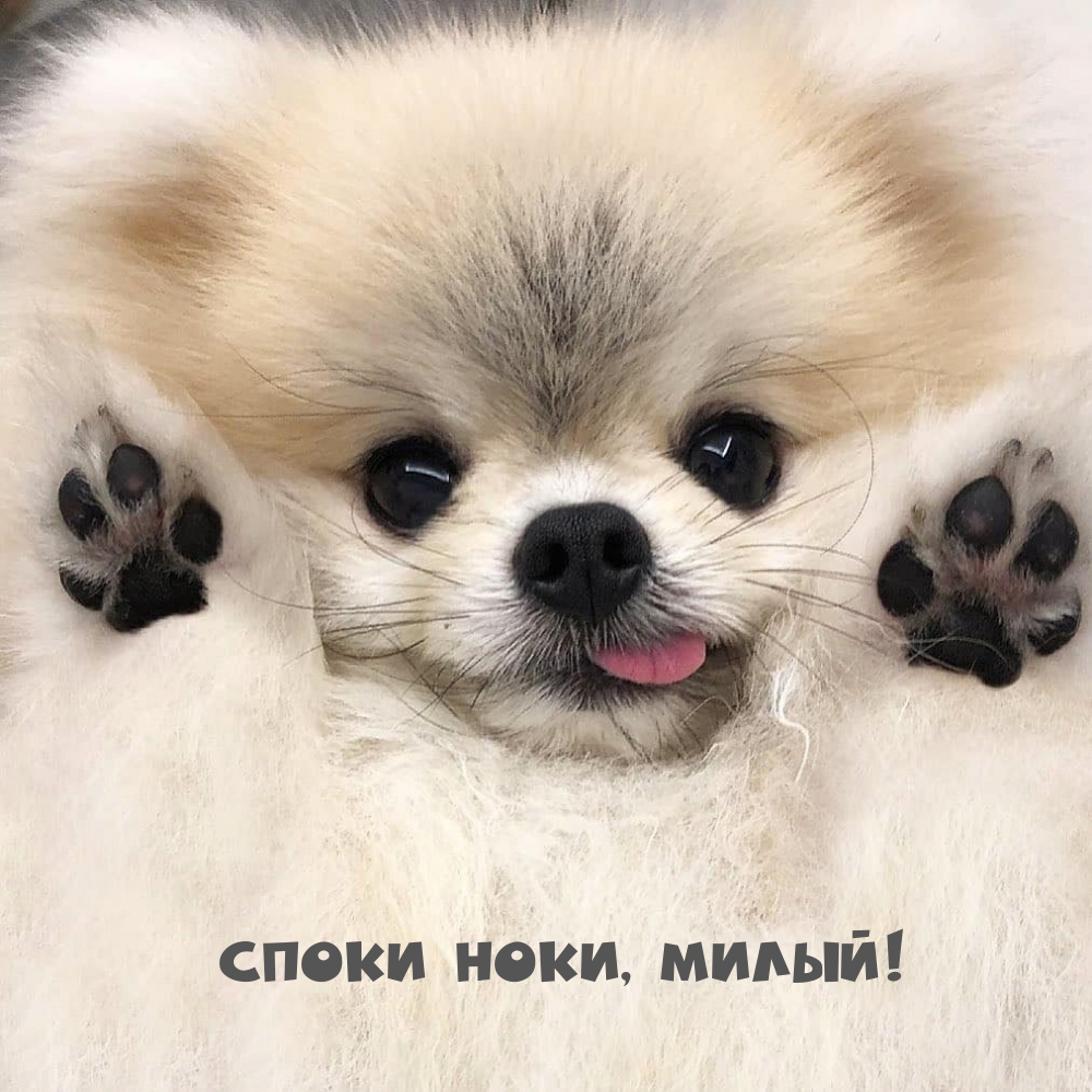 Картинка: Споки ноки, милый!