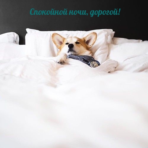 ��������� ����, �������!