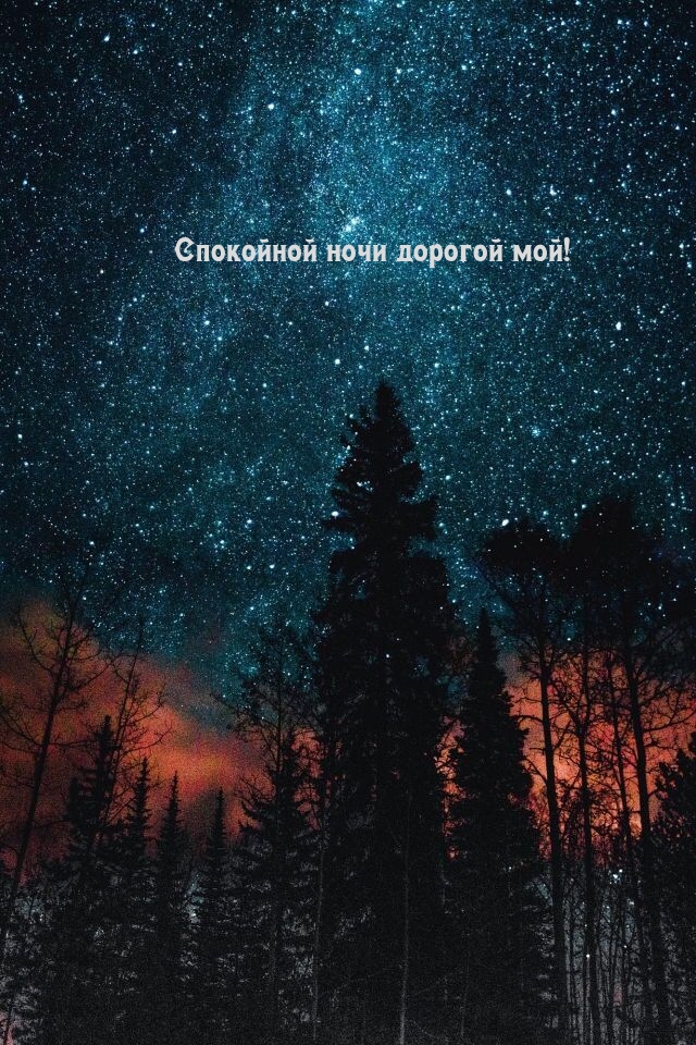 Картинка: Спокойной ночи дорогой мой!