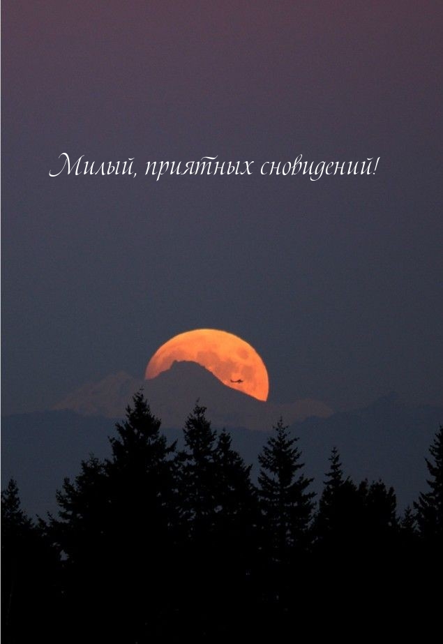 Картинка: Милый, приятных сновидений!