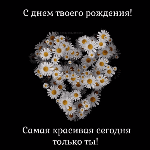 � ���� ��������! ����� ��������  
