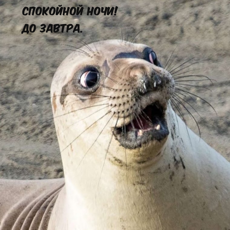 ��������� ����! �� ������.
