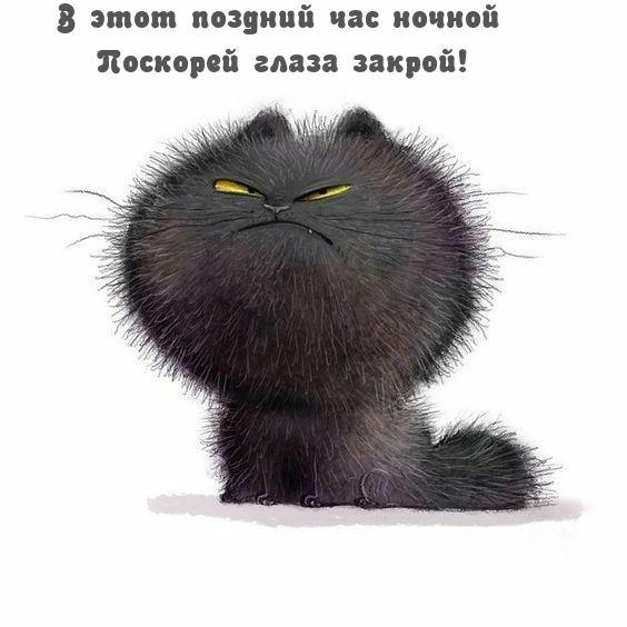 � ���� ������� ��� ������ �������� ����� ������!