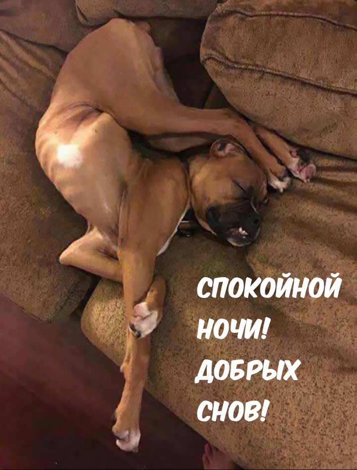 ��������� ����! ������ ����!