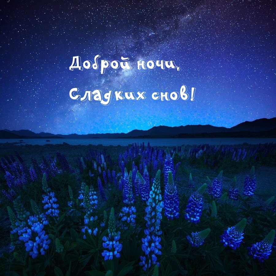 Картинка: Доброй ночи, сладких снов!