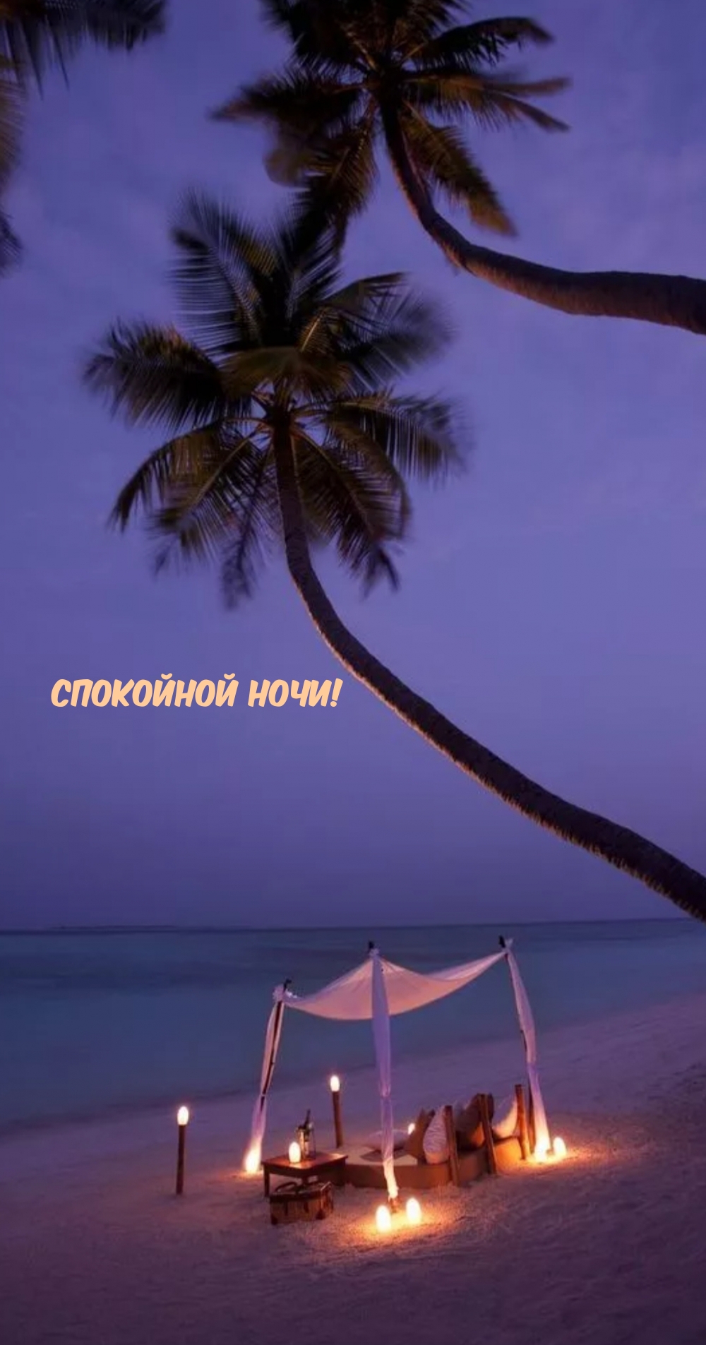 Картинка: Спокойной ночи!