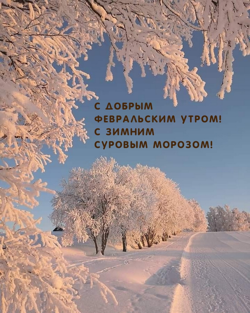 � ������ ����������� �����! � ������ ������� �������!