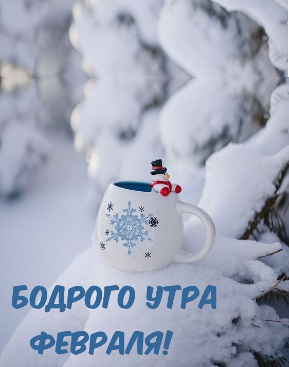 Картинка: Бодрого утра Февраля!