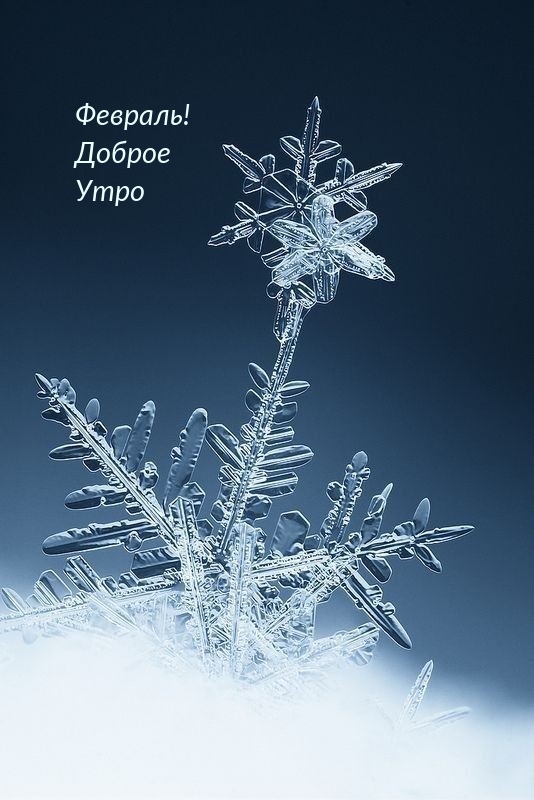 Картинка: Февраль! Доброе Утро