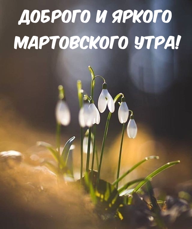 Картинка: Доброго и яркого мартовского утра!