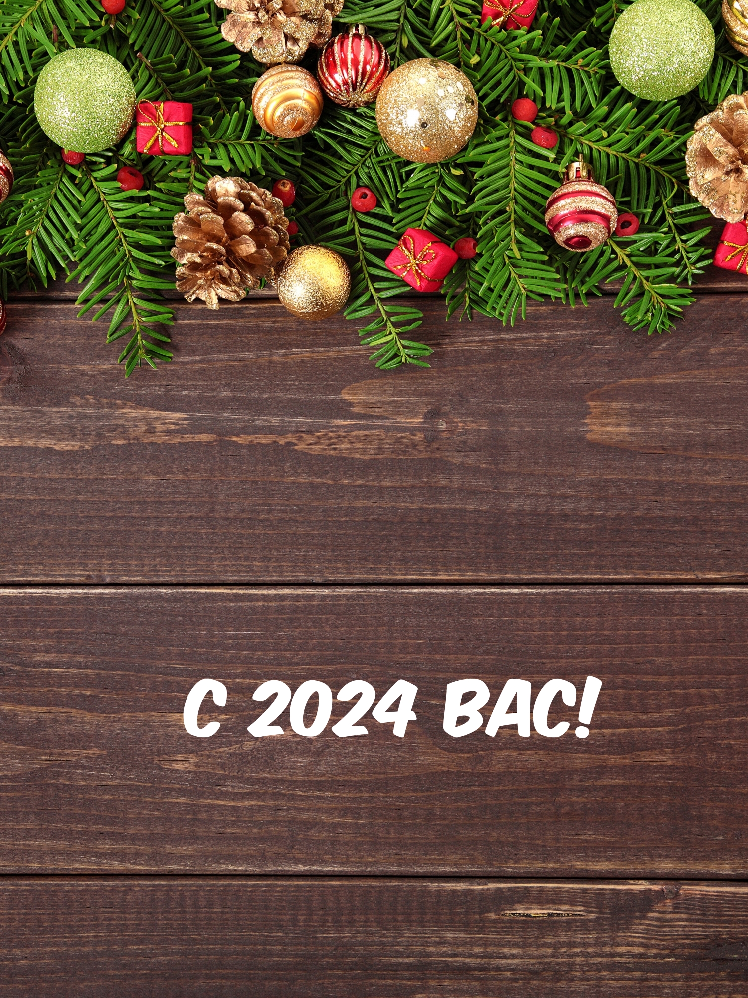 Картинка: С 2024 вас!