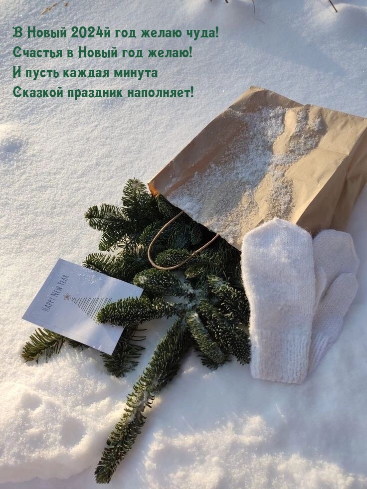 � ����� 2024� ��� ����� ����! ������� � ����� ��� �����!