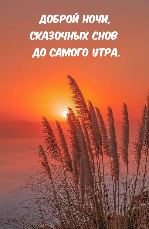Картинка: Доброй ночи, сказочных снов до самого утра.
