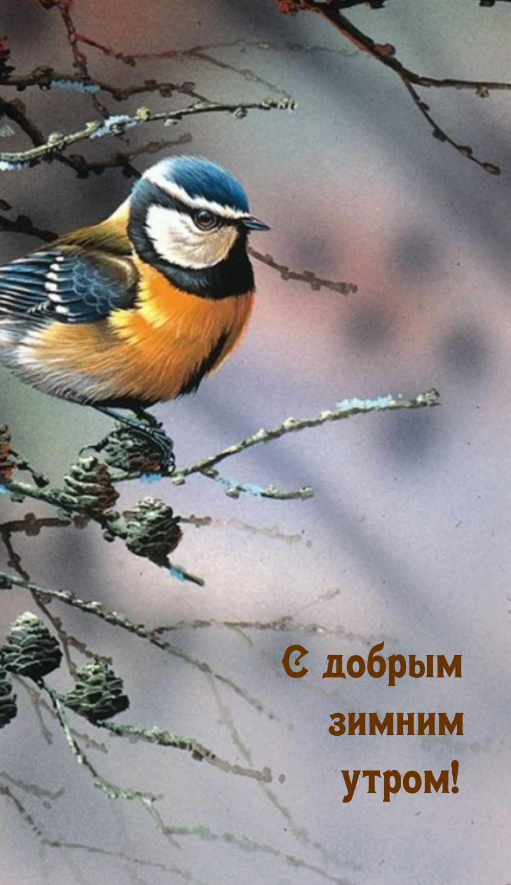 Картинка: С добрым зимним утром!